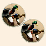 Bassin And Brown Mallard Ducks Cufflinks - Brown, White and Green