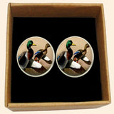 Bassin And Brown Mallard Ducks Cufflinks - Brown, White and Green