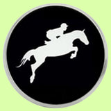 Bassin and Brown Equestrian Show Jumper Lapel Pin - Black and White