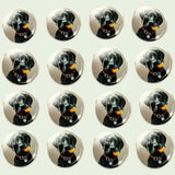 Bassin and Brown Black Labrador Dog Cufflinks