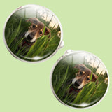 Bassin and Brown Dog in The Long Grass Cufflinks - Green and Brown