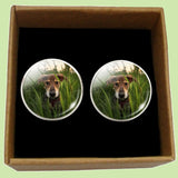 Bassin and Brown Dog in The Long Grass Cufflinks - Green and Brown