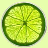 Bassin and Brown Lime Jacket Lapel Pin