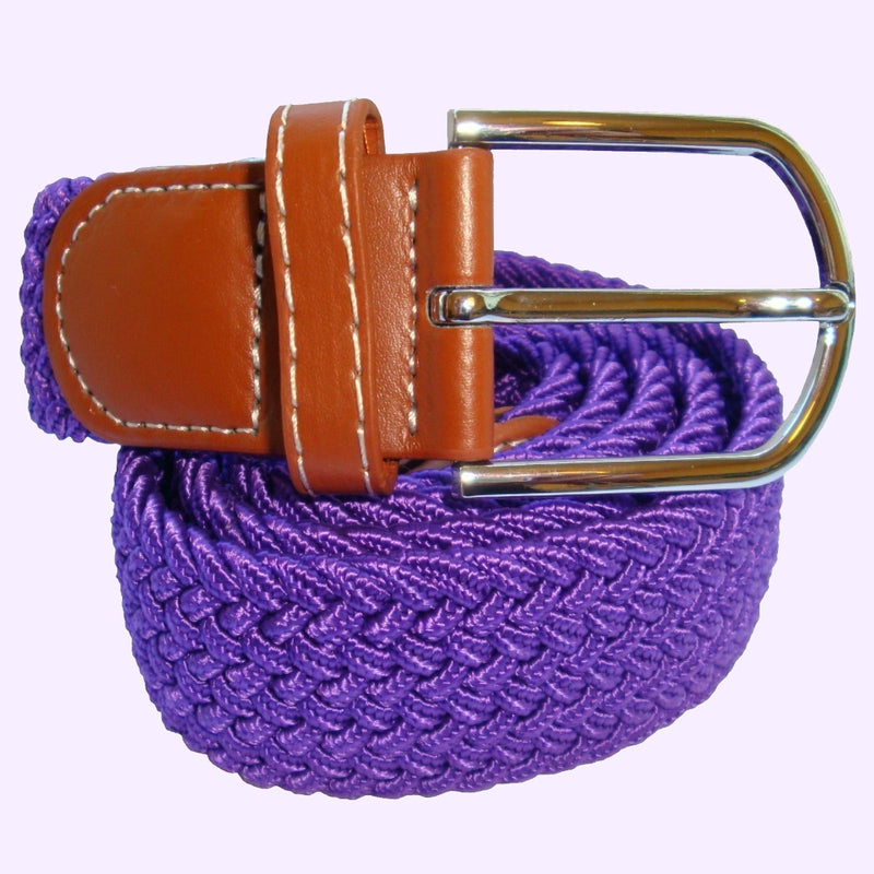 Bassin and Brown Plain Woven Elasticated Belt - Purple