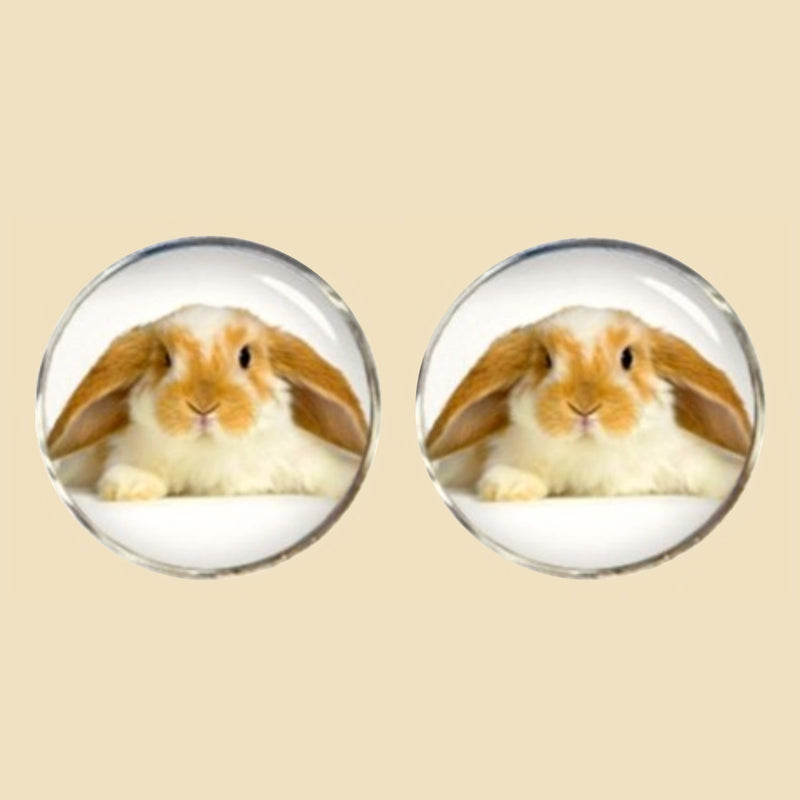 Bassin and Brown Rabbit Cufflinks - Beige and White