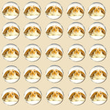 Bassin and Brown Rabbit Cufflinks - Beige and White