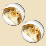 Bassin and Brown Rabbit Cufflinks - Beige and White