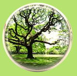 Bassin and Brown Tree Cufflinks - Green and Brown