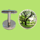 Bassin and Brown Tree Cufflinks - Green and Brown