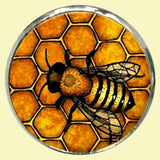 Bassin and Brown Bee and Honeycomb Lapel Pin - Black and Yellow