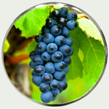 Bunch of Grapes Cufflinks- Green and Blue