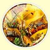 Bassin and Brown Leopard Family Cufflinks - Yellow and Green