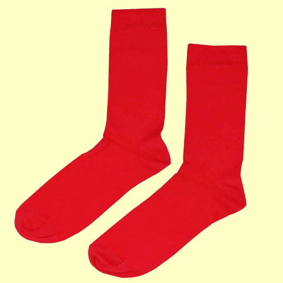 Bassin and Brown 5 Pack Bamboo Plain Socks - Red, Yellow, Sea Green, Blue and Mustard