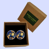 Bassin And Brown Star Flash Cufflinks - Blue and Beige