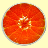 Bassin and Brown Blood Orange Fruit Jacket Lapel Pin