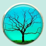 Bassin and Brown Leafless Tree - Blue and Green