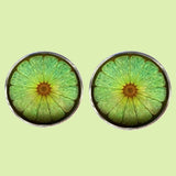 Bassin and Brown Lime Fruit Cufflinks - Green