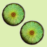 Bassin and Brown Lime Fruit Cufflinks - Green