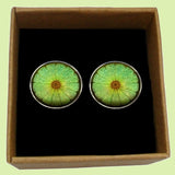 Bassin and Brown Lime Fruit Cufflinks - Green