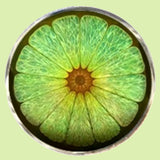 Bassin and Brown Lime Fruit Cufflinks - Green