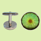 Bassin and Brown Lime Fruit Cufflinks - Green