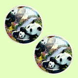 Bassin and Brown Panda Bears Cufflnks -  Black and White