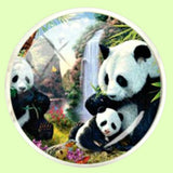 Bassin and Brown Panda Bears Cufflnks -  Black and White
