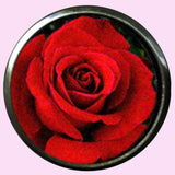 Bassin and Brown Rose Flower Cufflinks - Red