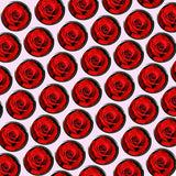 Bassin and Brown Rose Flower Cufflinks - Red