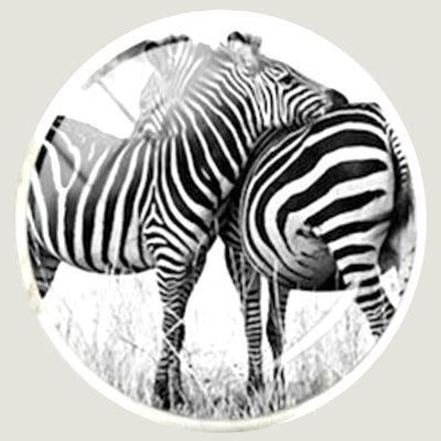 Bassin and Brown Zebra Cufflinks - Black and White