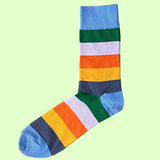 Bassin and Brown Multi Coloured Stripe Socks - Blue, Green, Pink, Orange, Yellow and Grey