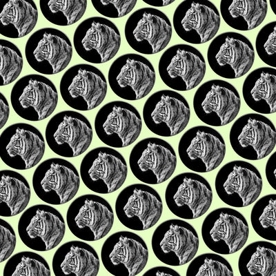 Bassin and Brown Tiger Cufflinks - Black and Grey