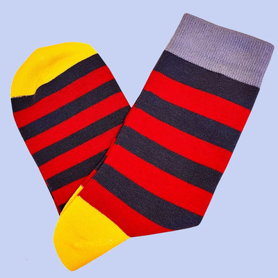 Bassin and Brown Tathame Hooped Stripe Socks - Red, Charcoal, Yellow and Grey