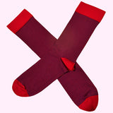 Bassin and Brown Thin Stripe Cotton Socks - Red and Blue
