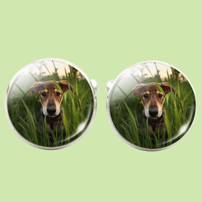 Bassin and Brown Dog in The Long Grass Cufflinks - Green and Brown