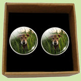 Bassin and Brown Dog in The Long Grass Cufflinks - Green/Brown