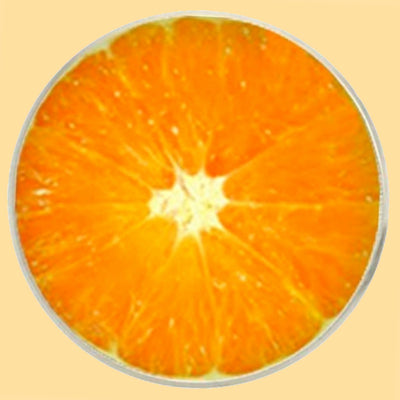 Bassin and Brown Orange Fruit Jacket Lapel Pin