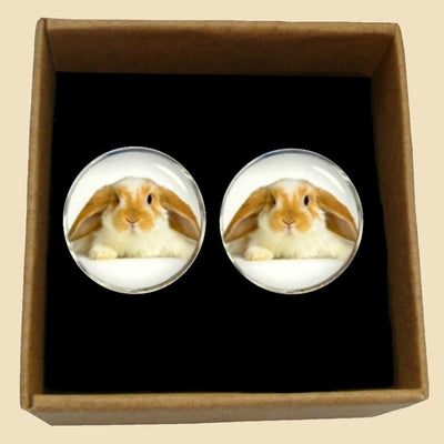 Bassin and Brown Rabbit Cufflinks - Beige and White