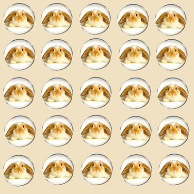 Bassin and Brown Rabbit Cufflinks - Beige and White