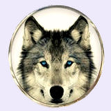 Bassin and Brown Arctic Wolf Round Cufflinks