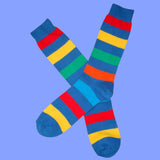 Bassin and Brown Blue Multi Stripe Cotton Socks