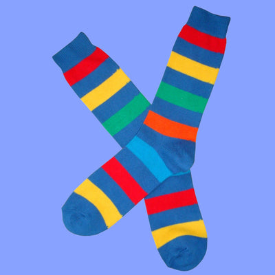 Bassin and Brown Blue Multi Stripe Cotton Socks