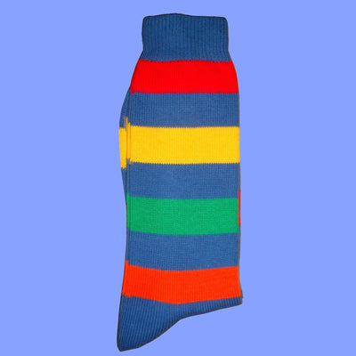 Bassin and Brown Blue Multi Stripe Cotton Socks