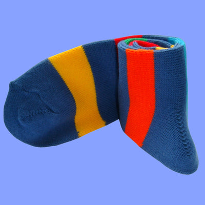 Bassin and Brown Blue Multi Stripe Cotton Socks