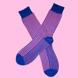 Bassin and Brown Royal Blue and Pink Vertical Stripe Cotton Socks