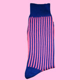 Bassin and Brown Royal Blue and Pink Vertical Stripe Cotton Socks