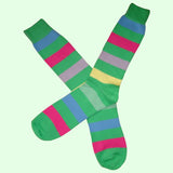 Bassin and Brown Green Multi Stripe Cotton Socks