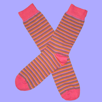 Bassin and Brown Multi Stripe Fine Gauge Cotton Socks - Pink