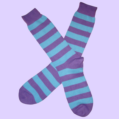 Bassin and Brown Lilac/Blue Hooped Stripe Cotton Socks