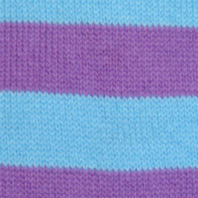 Bassin and Brown Lilac/Blue Hooped Stripe Cotton Socks